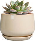 G EPGardening Ceramic Pot for Plants by GEPGardening