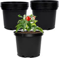 GREANER Plastic Garden Pots, 8 Inch Nursery Pots by GREANER