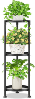 iDavosic.ly 3 Tier Plant Stand Indoor by iDavosicly
