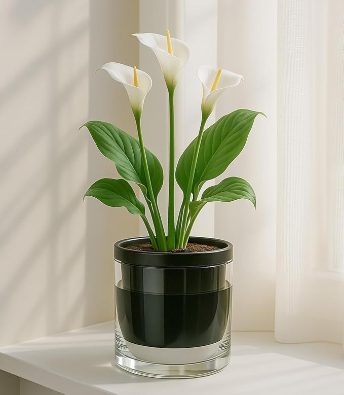 D'vine Dev 6 Inch Design Self Watering Planter - Image 2