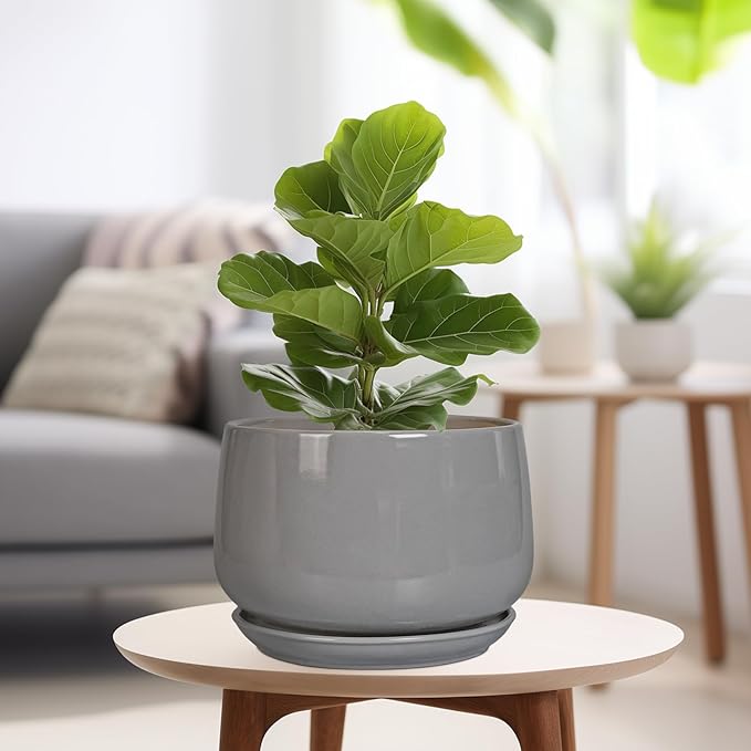 G EPGardening Ceramic Plant Pots - Image 4