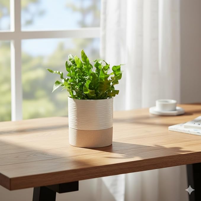 Nihow Self Watering Plant Pot for Indoor Plants: 4.5 Inch Ceramic Planter - Image 8