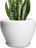 Ceramic Pot for Plants by Ceramicfor