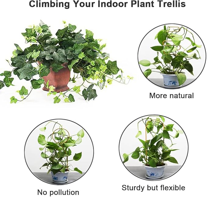 Small Metal Trellis for Potted Plants, Plant Support Stake Mini House Plant - Image 5