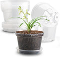 12 Pack 8 Inch Clear Plant Pots by RooTrimmer
