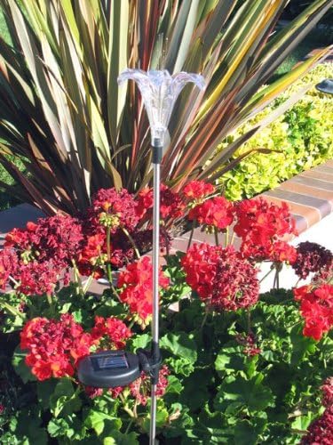 Solar Garden Stake Lights with Color Changing LED or Regular White LED by Ntertainment+House