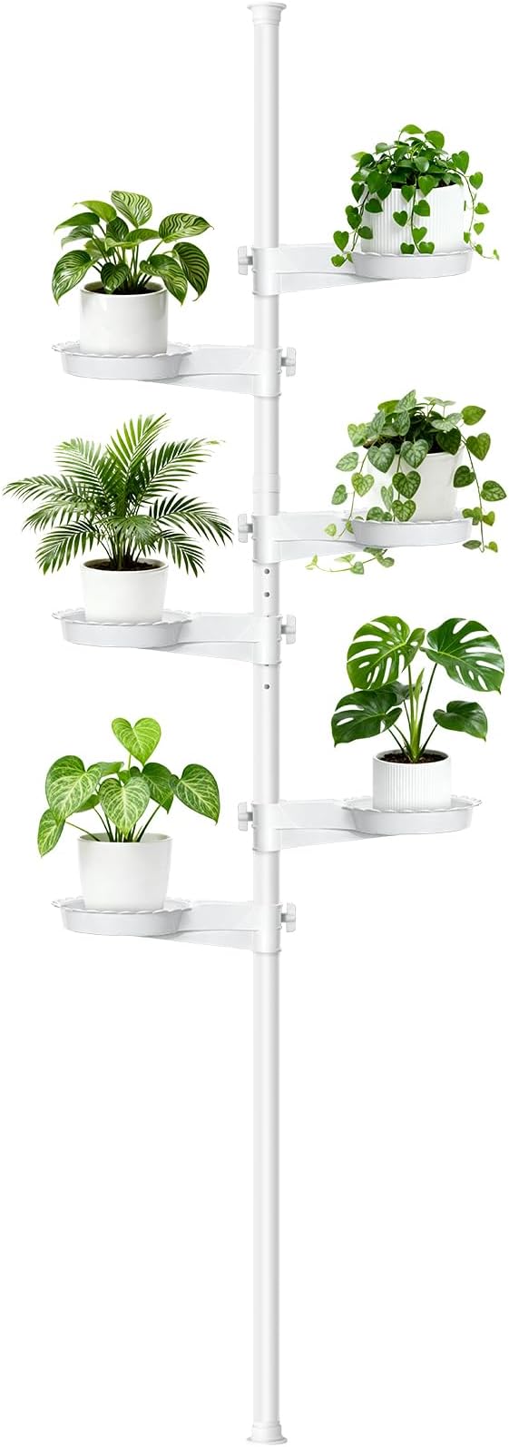 Tension Rod Plant Stand, Plant Poles by Zononoca