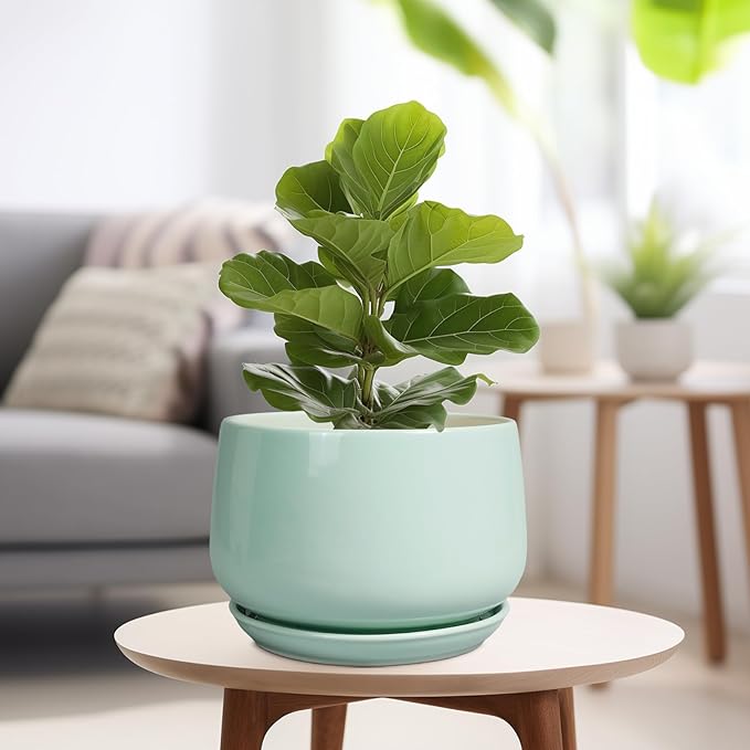 G EPGardening Ceramic Pots for Plants - Image 4