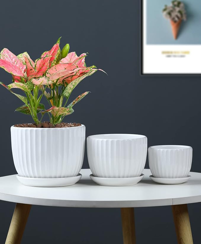 Ton Sin White Plant Pots Set of 3, Indoor Ceramic Flower Pot - Image 6