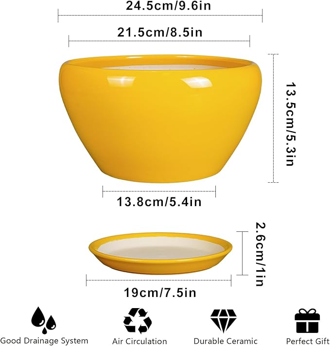 Ceramic Planter 9 Inch - Image 3