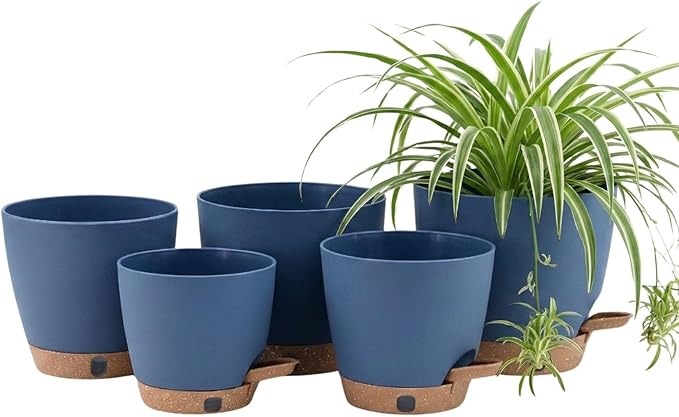 montresor 5-Pack 5/5.5/6/6.5/7 Inch Reservoir & Drainage Plastic Self Watering by Montresor