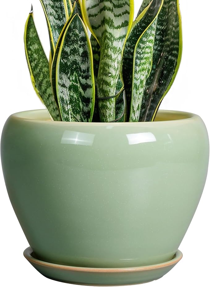 8 Inch Plant Pot by Ceramicfor