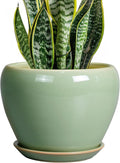 8 Inch Plant Pot by Ceramicfor