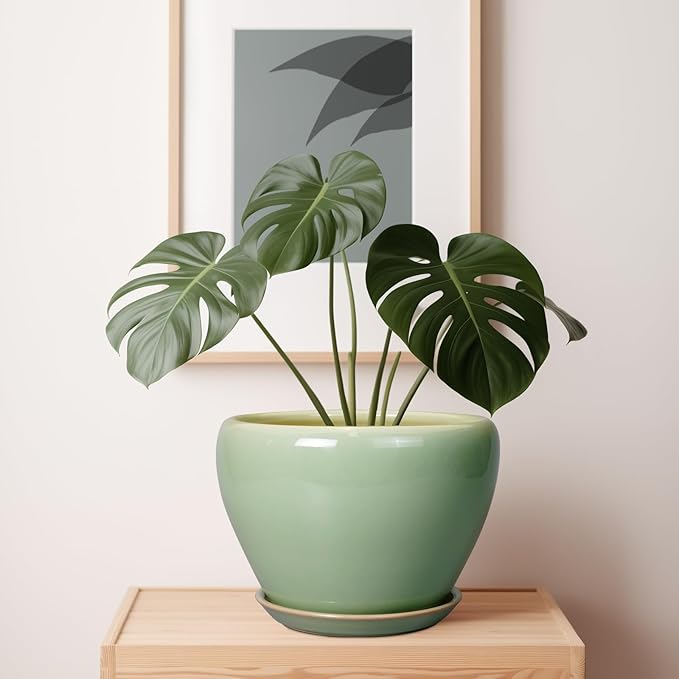 Ceramic Planter Pot - Image 7