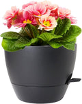 12 inch Large Self Watering Pots by Meowell