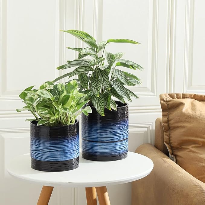 Nihow Ceramic Plant Pot: 6 Inch Planter - Image 5