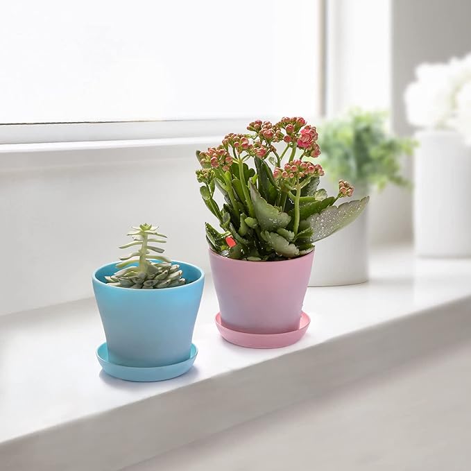 TDHDIKE 10 Pcs Plastic Planters Indoor Flower Plant Pots, Mini Flower Seedlings - Image 5