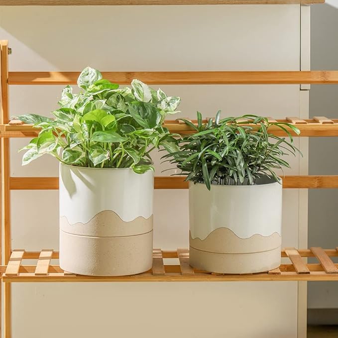 Nihow Ceramic Plant Pot: 6 Inch Planter - Image 4