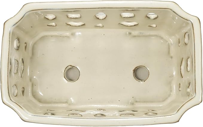 W&W Orchid Pot with Holes and Saucer - Image 4