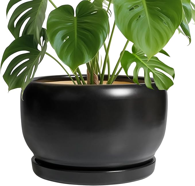SQOWL Ceramic Flower Pot by SQOWL