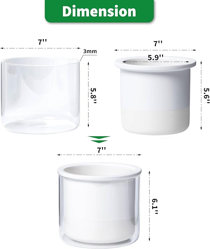 Phoenix Vine 6 Inch Self Watering Planter Pot, Design White Terracotta Pot - Image 4