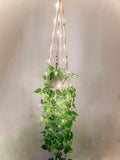 2 Packs Fake Hanging Plant by Comtelek