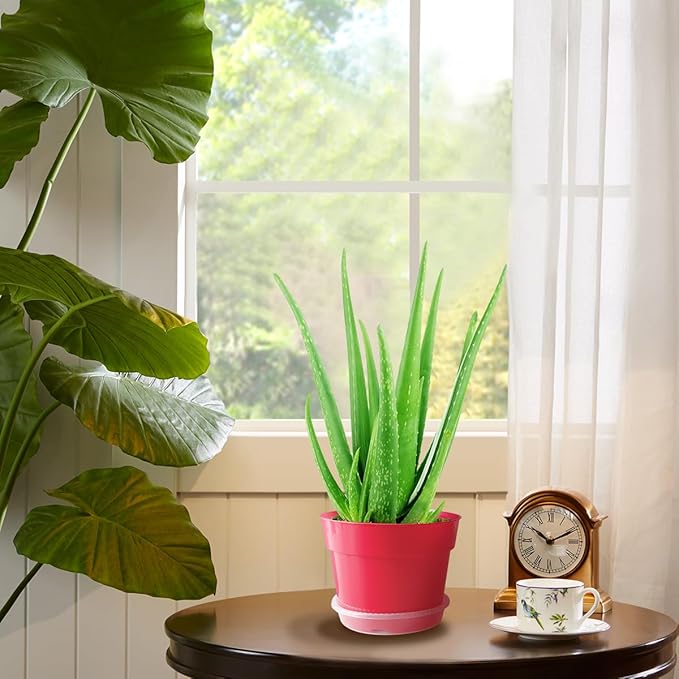8 inch Plastic Flower Pots - Image 4