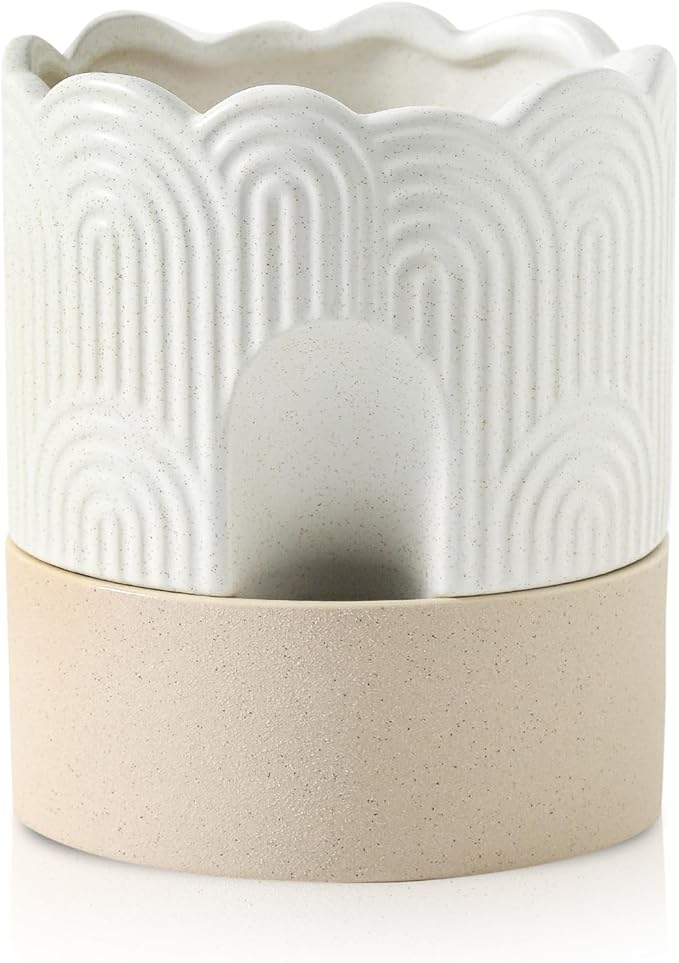 Nihow Self Watering Plant Pot: 6 Inch Ceramic Planter by Nihow