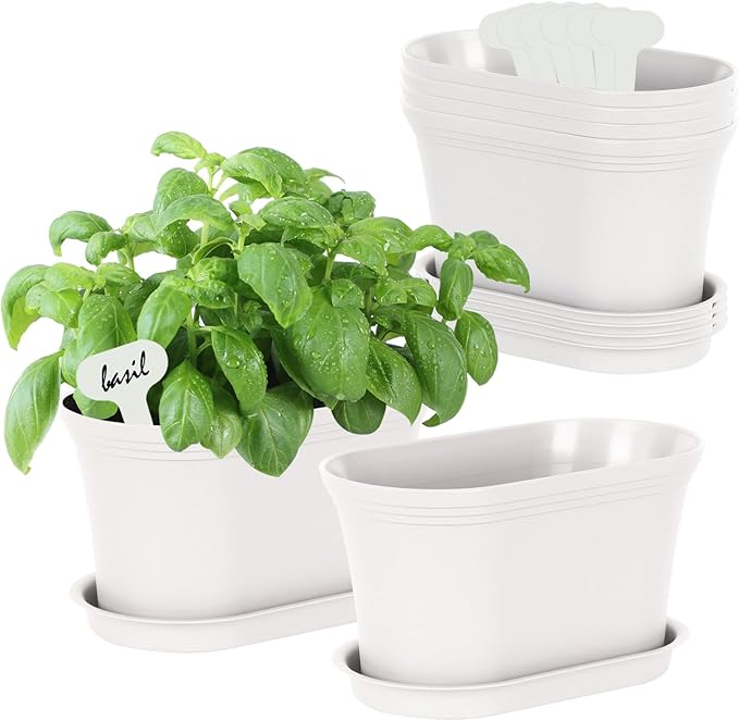 Windowsill Garden Pots, Succulents, African Violet by Oliz
