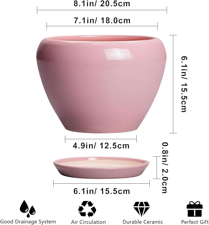 Ceramic Modern Glaze Succulent Planter Pot - Image 3