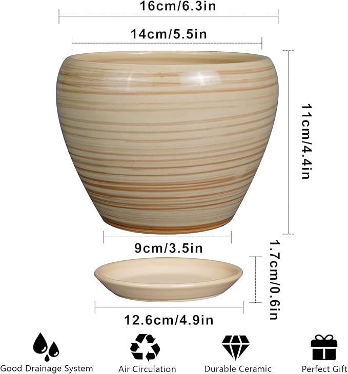 6 Inch Plant Pot Ceramic - Image 3