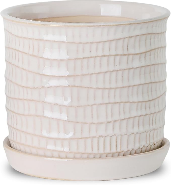 5.8 Inch Plant Pot: Ceramic Planter by Chubacoo