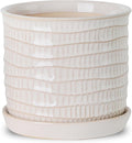 5.8 Inch Plant Pot: Ceramic Planter by Chubacoo