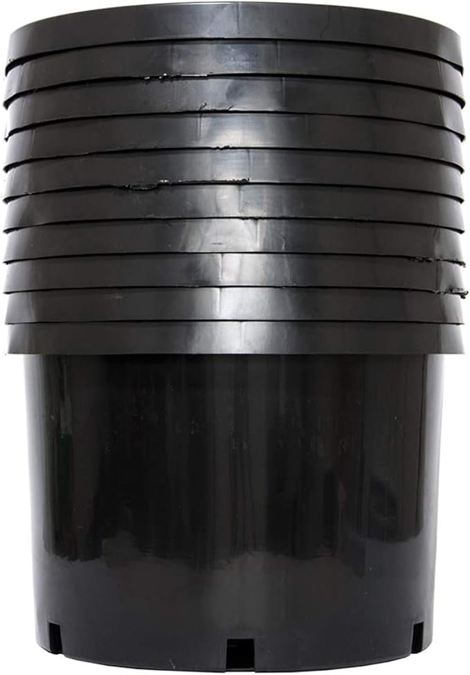 Pro Cal 10 Gallon Premium Nursery Plastic Planter Flower Herb Vegetable Garden - Image 7