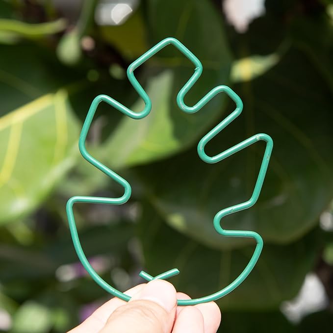 Monstera Plant Stem Support - Image 5