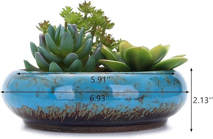 VanEnjoy 7.3 inch Round Large Shallow Succulent Ceramic Glazed Planter Pots - Image 2