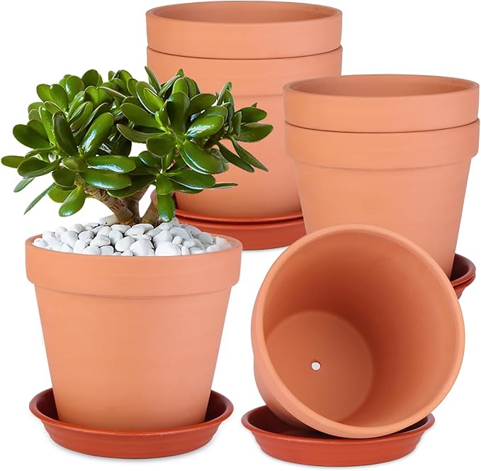 6 Pack 6 Inch Terracotta & Clay Pots by Unknown