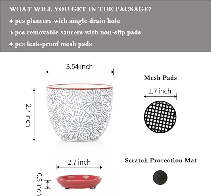Selamica Ceramic Succulent Pots - Image 3