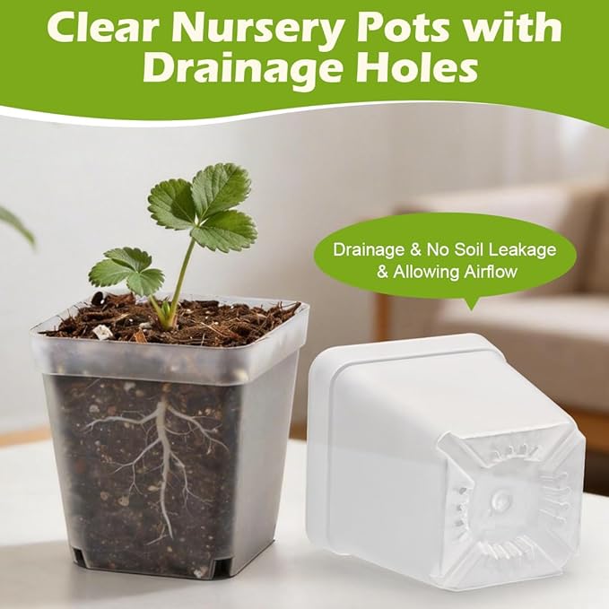 2.7 Inch Square Nursery Pots - Image 4