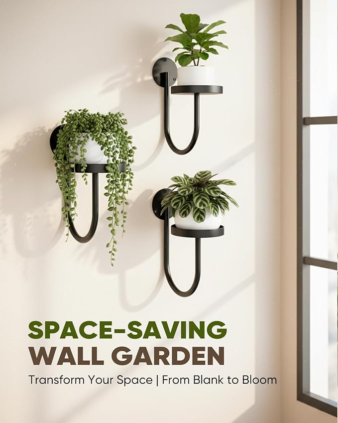 Wall Plant Holder – Hanging Planters - Image 4