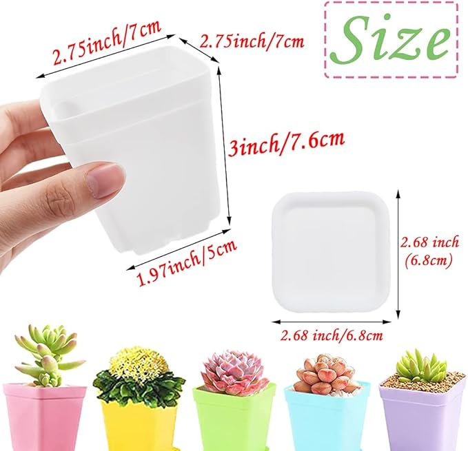 Haawooky 48 PCS 3 Inch Colorful Plastic Plant Pot, Plastic Square Nursery Pots - Image 2