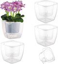 3-Pack Clear Self Watering Planters by Planterhoma
