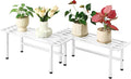 2 Pack Metal Plant Stand Outdoor Plant Shelf Indoor, 1 Tier Heavy Duty Plant by Dipion
