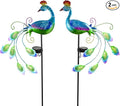 DREAMSOUL 2 Pack Metal Peacock Solar Lights Outdoor Waterproof LED Solar Lights by DREAMSOUL