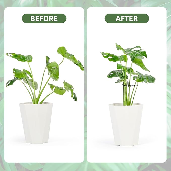 6PCS Iron Monstera Plant Support, Uniquely Designed Indoor Plant Accessories - Image 3