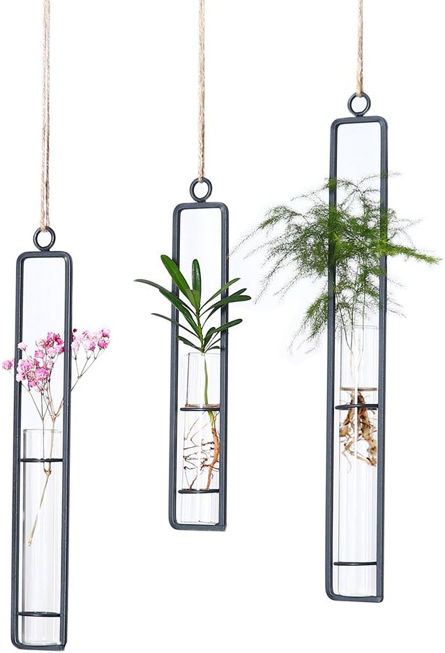Aoderun Hanging Glass Planter Water Iron Art Hydroponic Vase Transparent Test by Aoderun