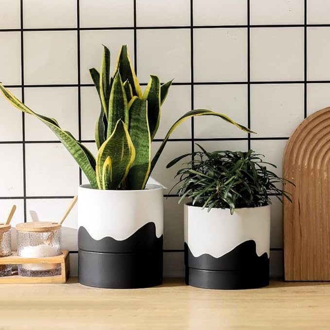 Nihow Ceramic Plant Pot: 6 Inch Planter - Image 5
