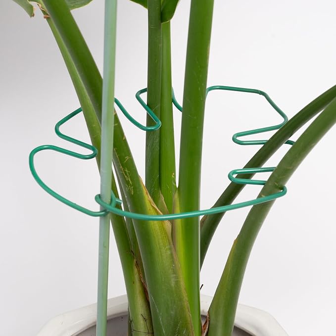 5PCS Monstera Plant Stem Support 7.3*6.25IN Adjustable Holder by Yohsnor