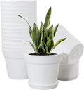 WOUSIWER 16 Pack 6 inch Plastic Planters by WOUSIWER