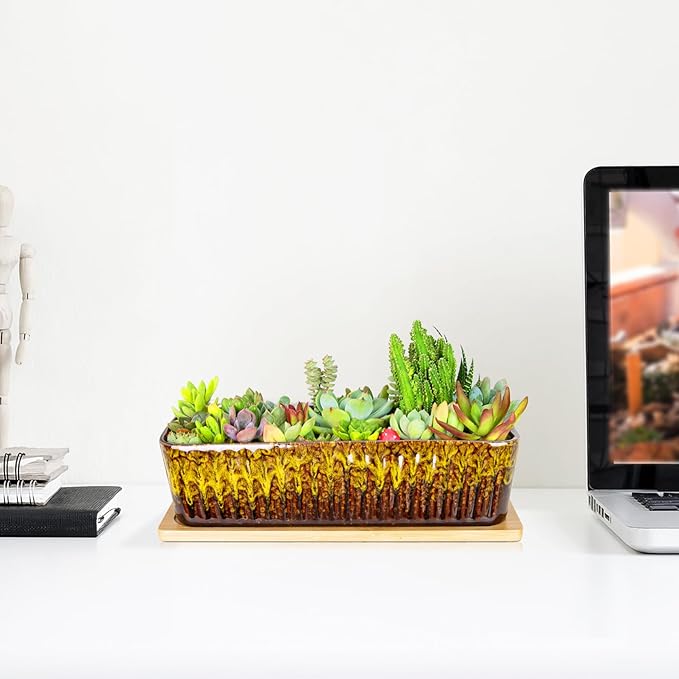 Succulent Pots - 12 Inch Large Succulent Planters - Image 5